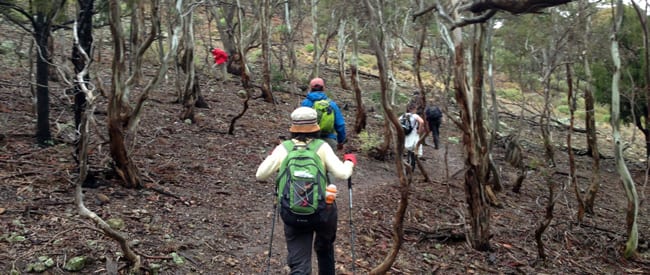 Centenary Walk And The Island 125km Werribee Gorge State Park Vic