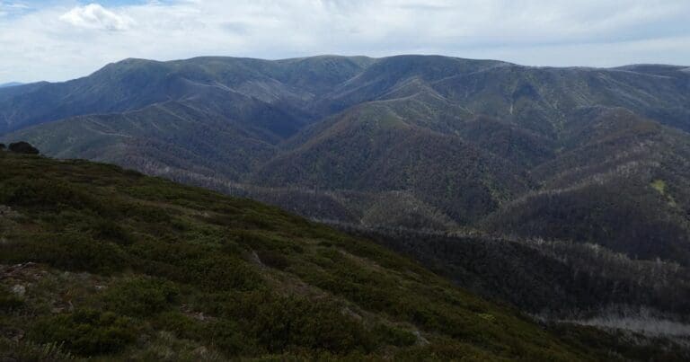 mt bogong circuit from falls creek via quartz ridge track and spur