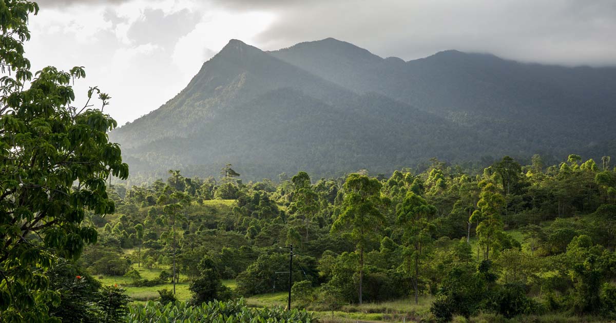 Mount Bartle Frere