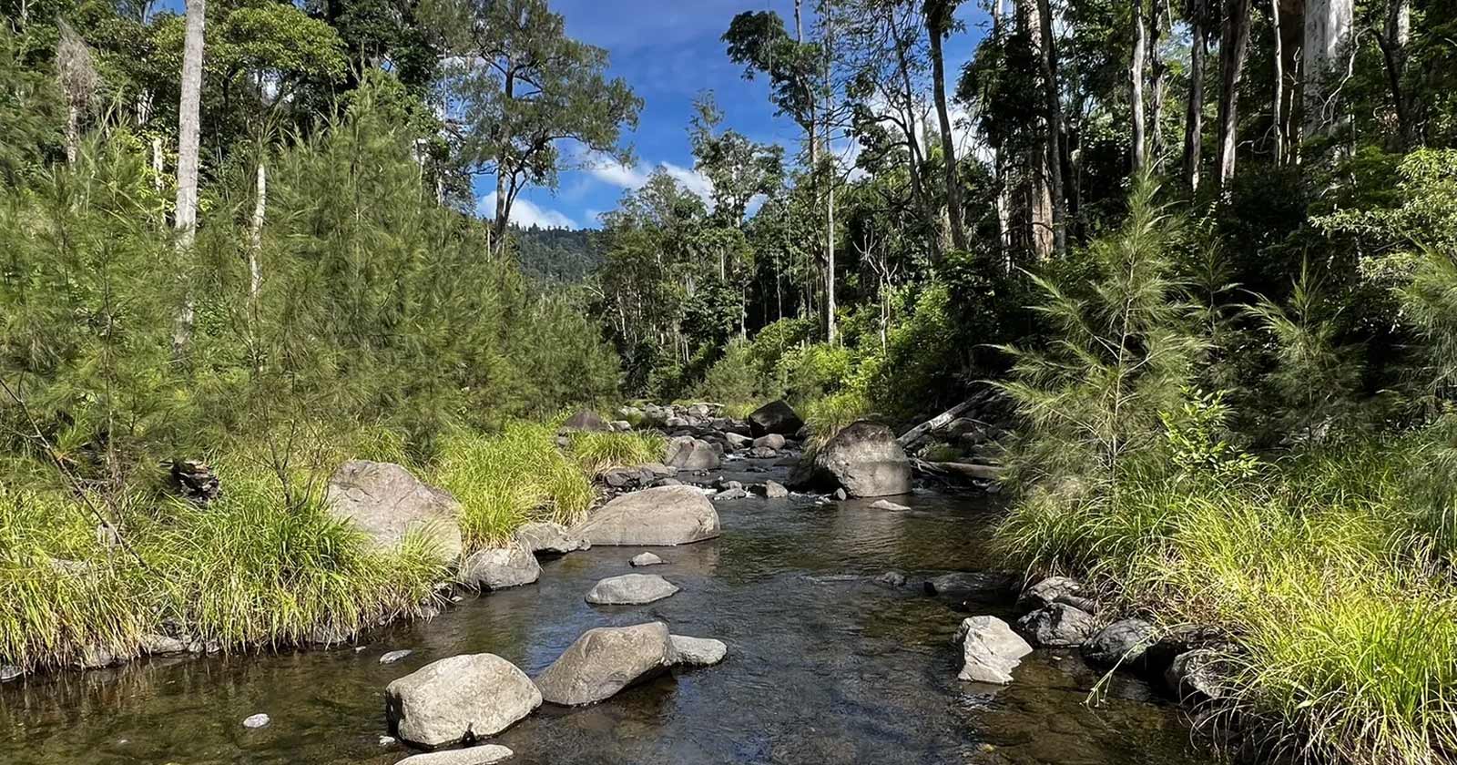 Platypus Pool & Stairway Falls Hike