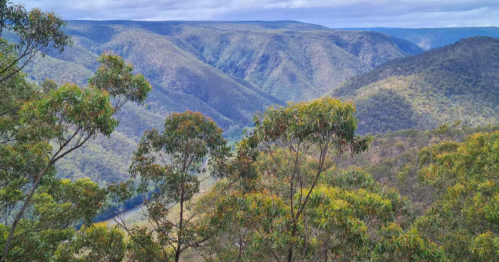 White Track Bungonia National Park