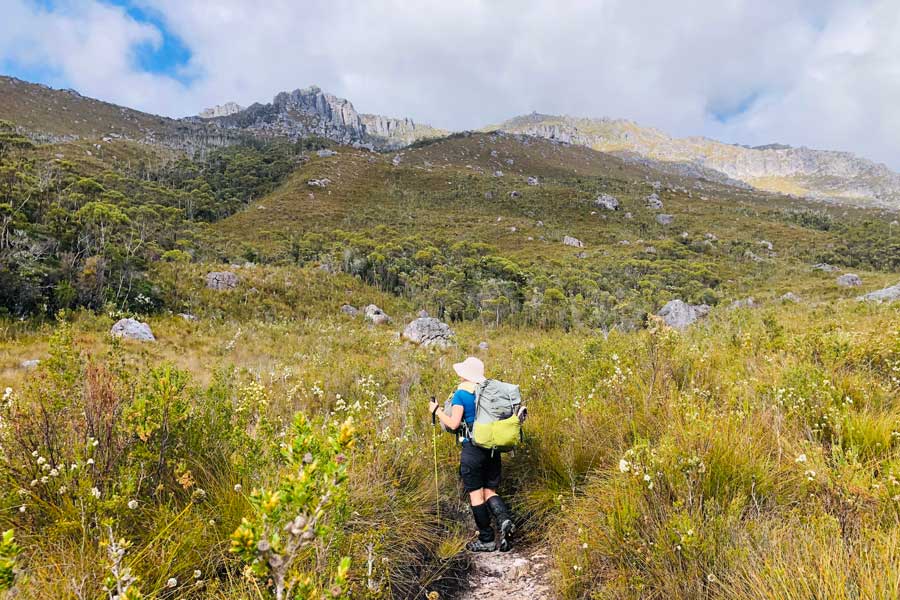 Traversing the buttongrass moorland