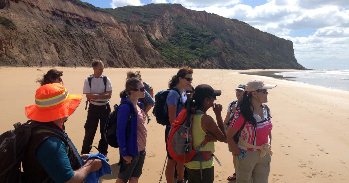 Group of hikers walking along the beach