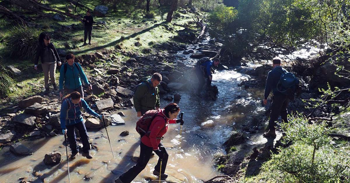 Group of hikers crossing a river on a challenging hike