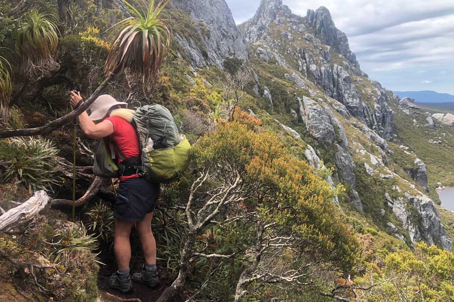 Battling through dense shrubs