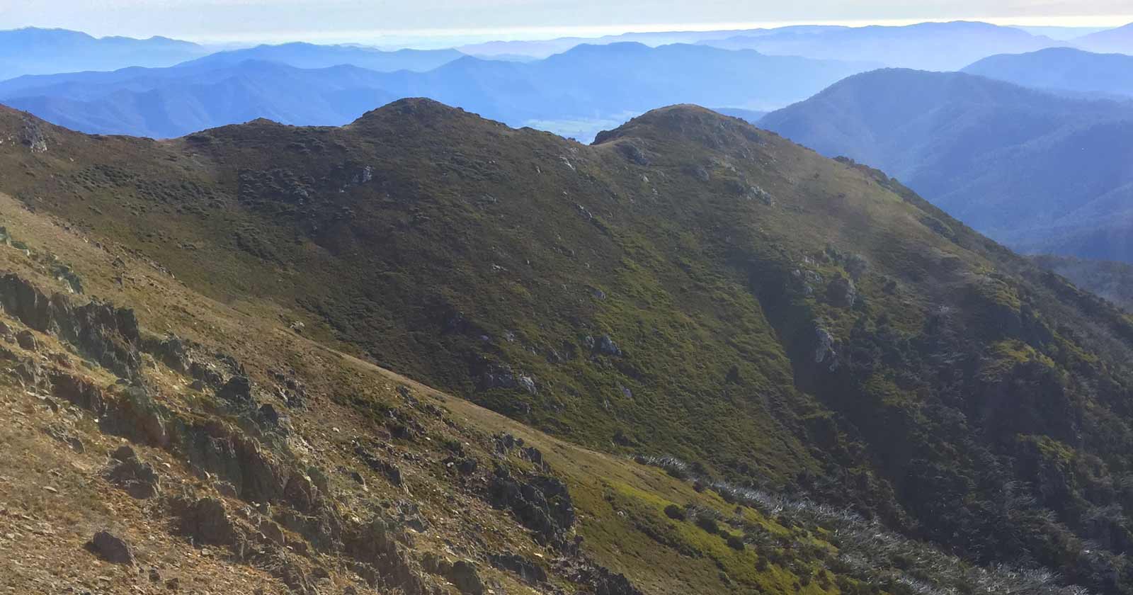 Mount Bogong (1,986m)