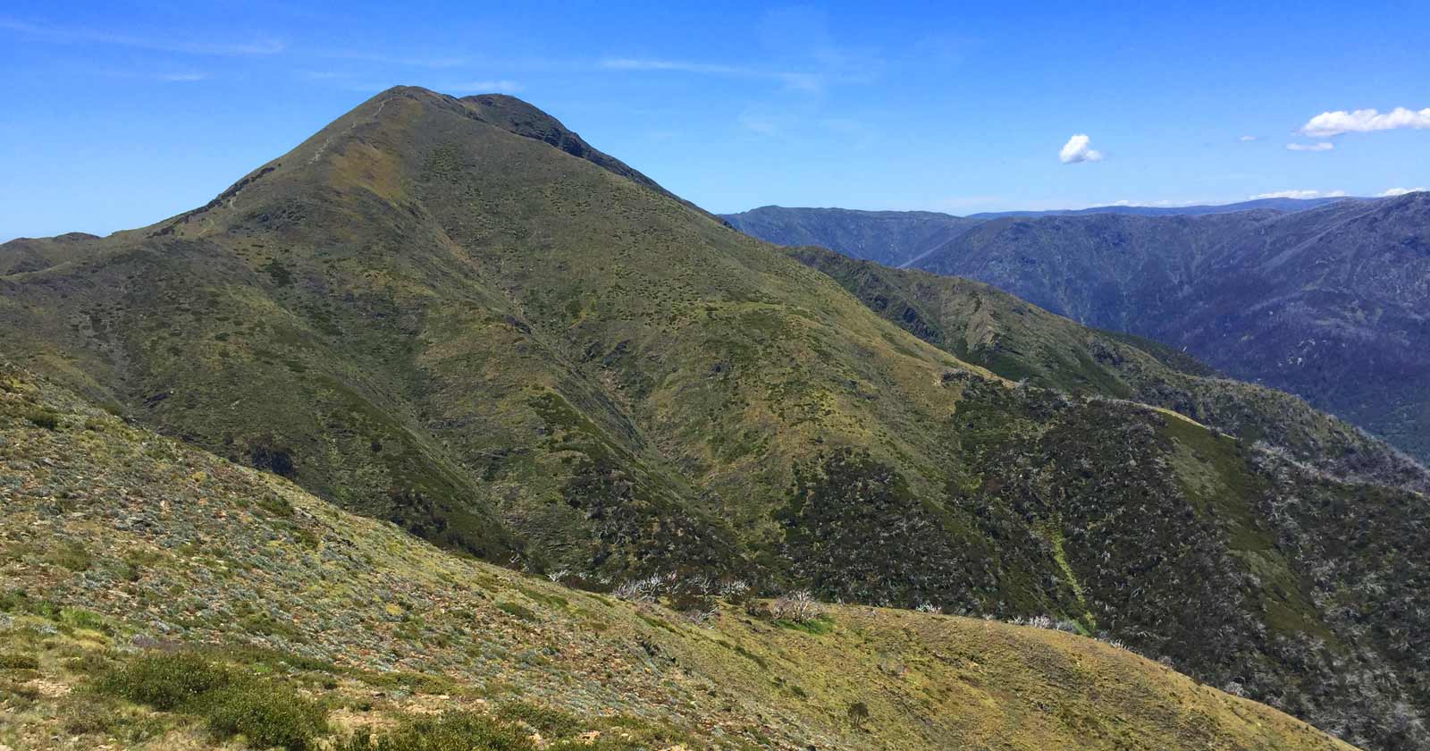 Mount Feathertop (1,922m)