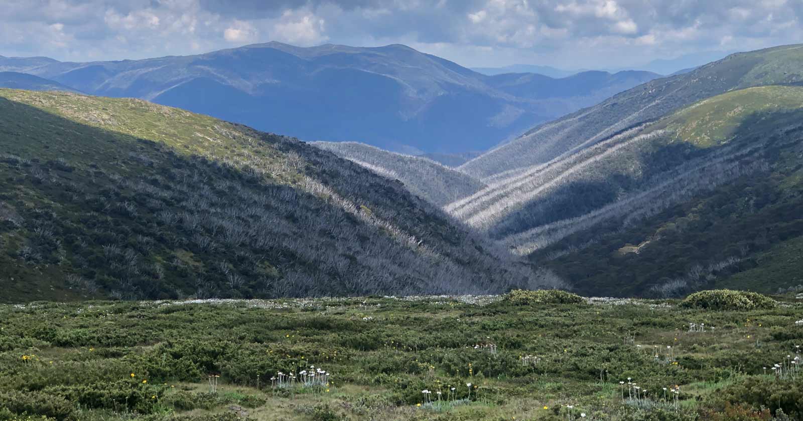 Mount Nelse North (1,885m)