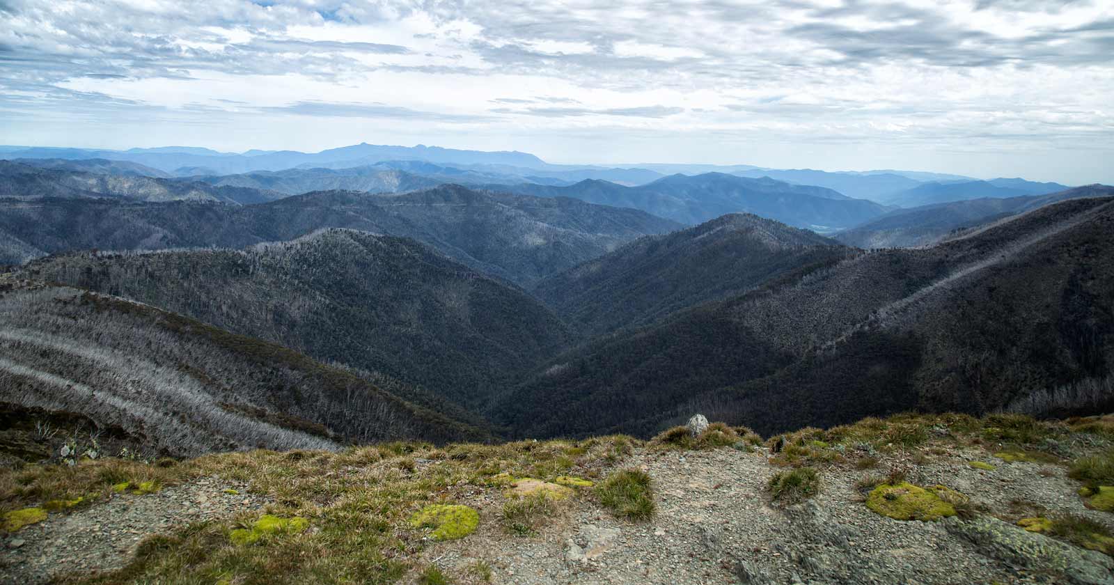 Mount Hotham (1,868m)