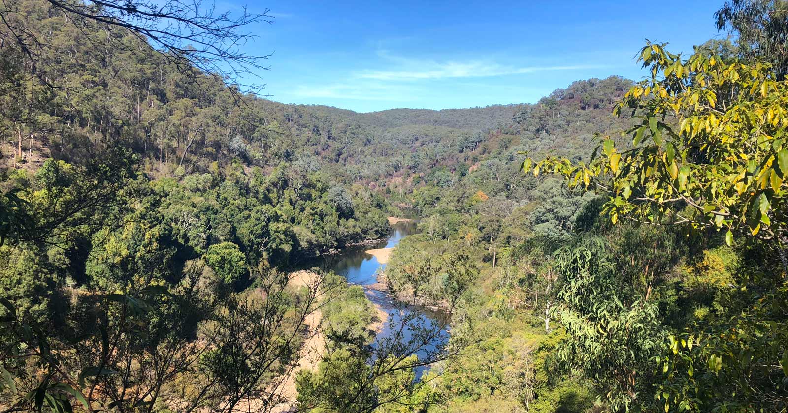 Mitchell River Walking Track