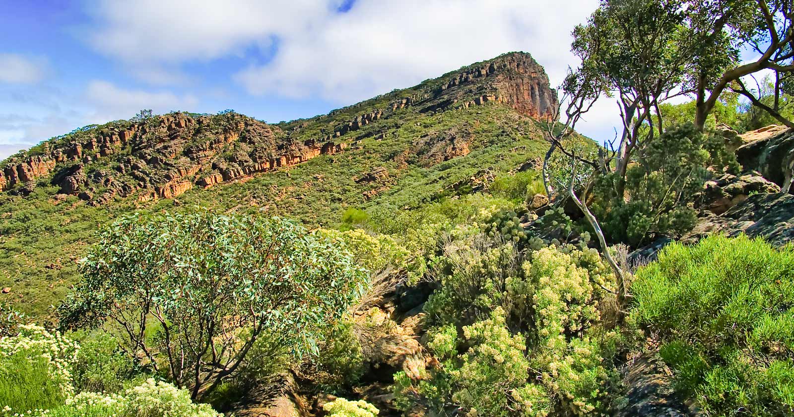 St Mary Peak Ikara-Flinders Ranges National Park