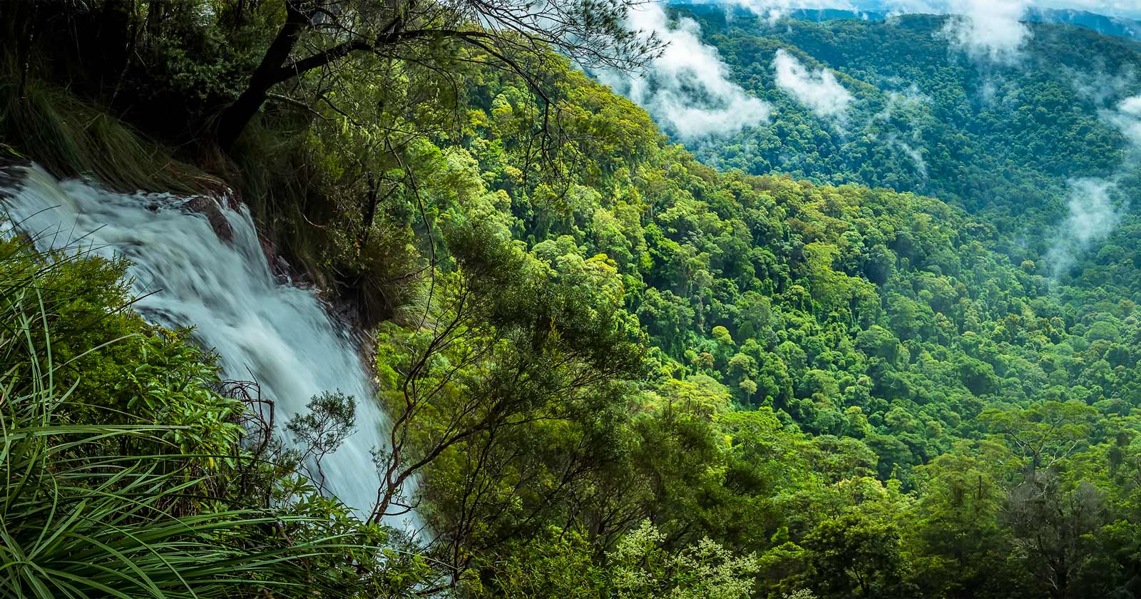 Hike Queensland