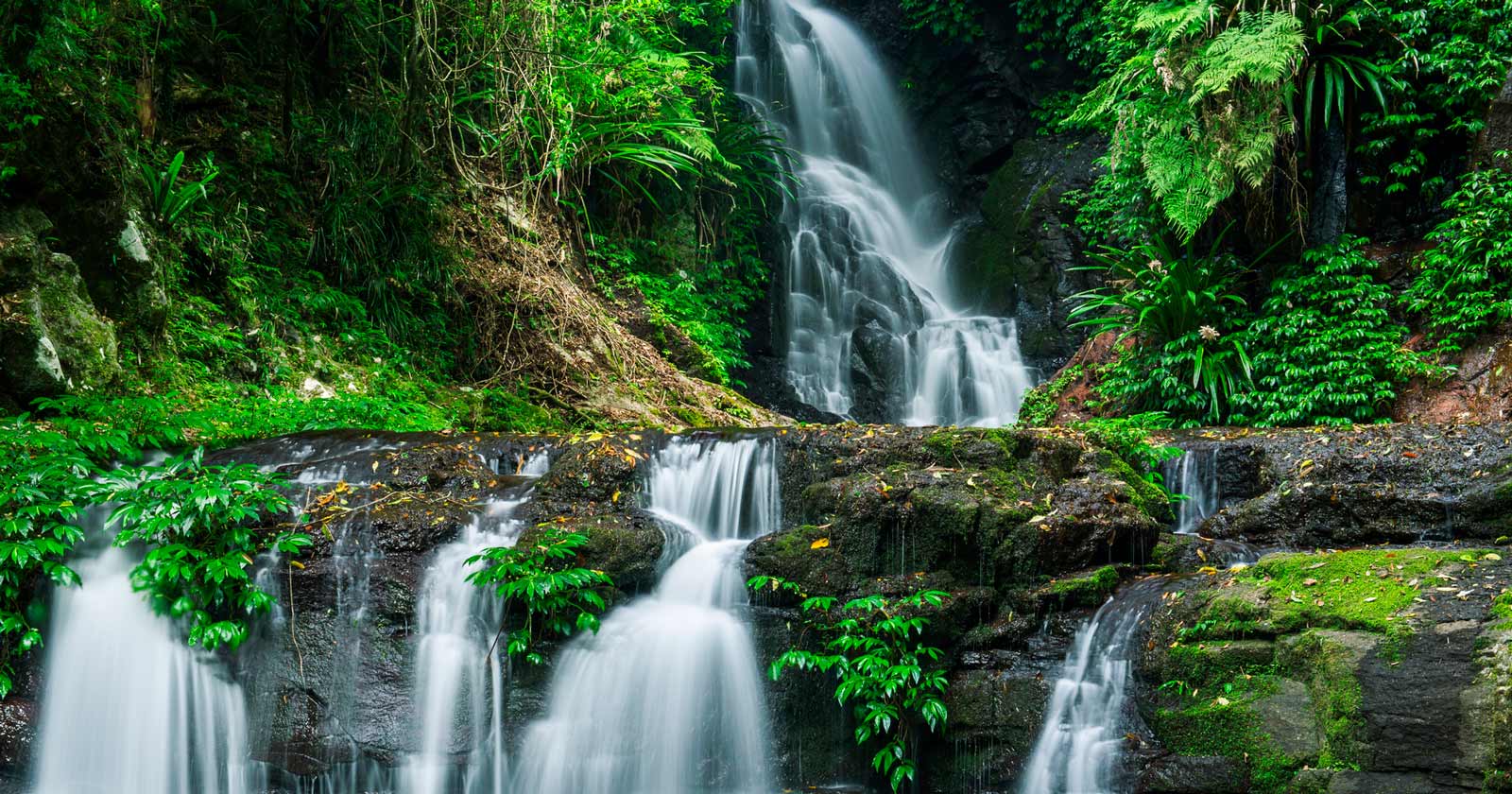 Hike Queensland