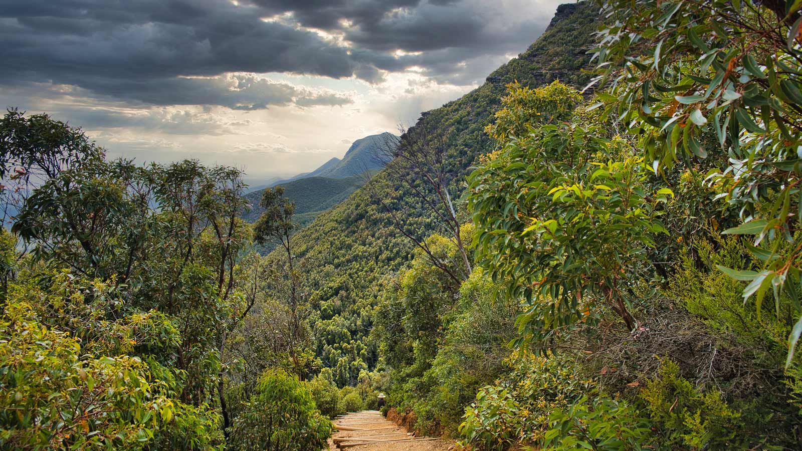 Bluff Knoll, Stirling Range National Par