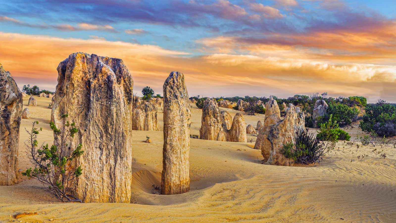 The Pinnacles, Nambung National Park