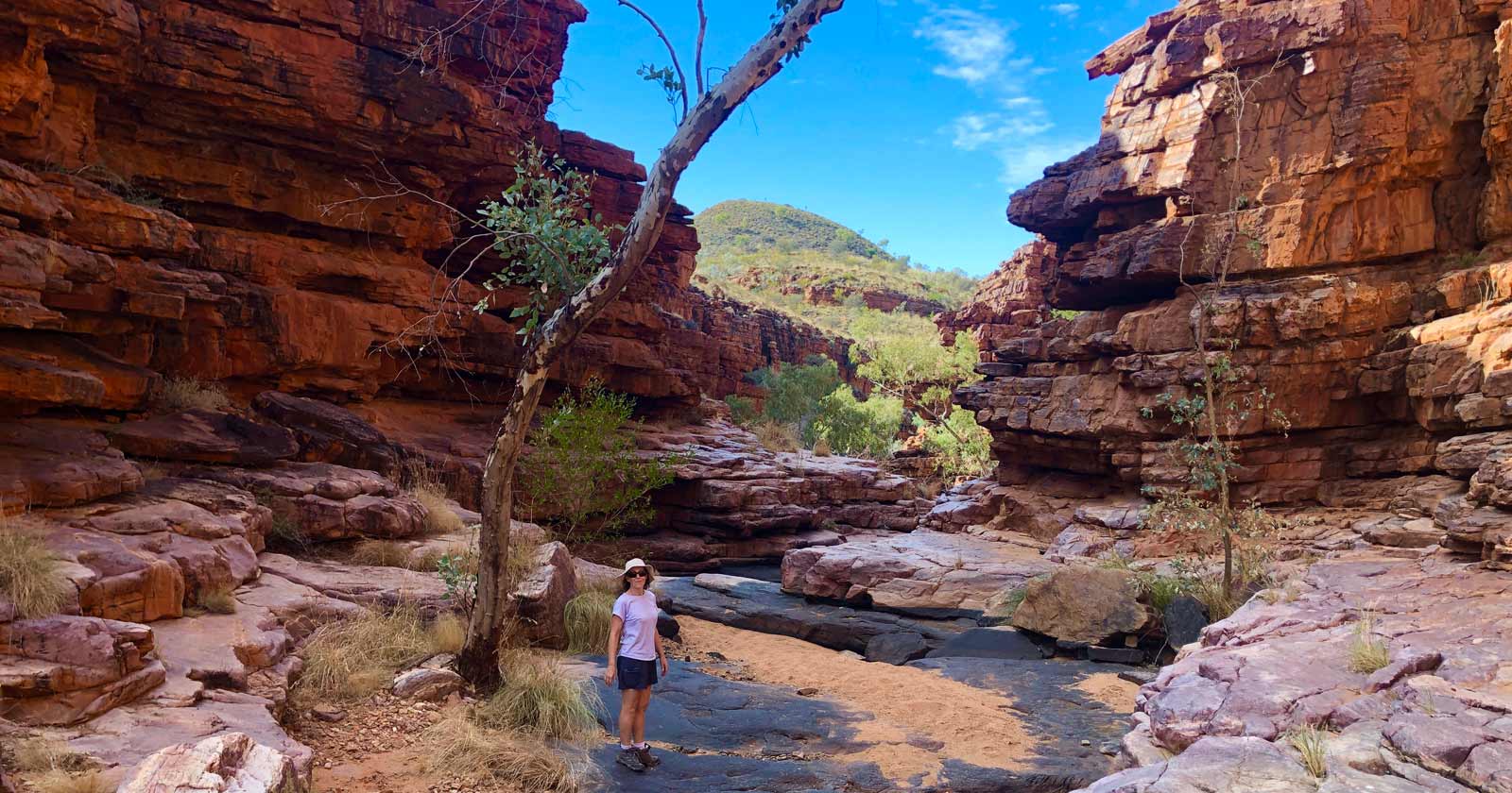 Turners Lookout and Chain of Ponds Walk